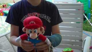 Mario Vs. Petey Piranha Interception