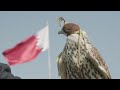 BBC Travel Show - Qatar: The Road to the World Cup