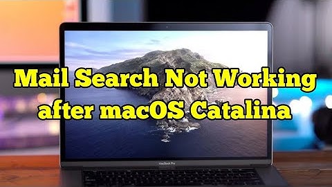 Mail Search Not Working after macOS Catalina Update - Here