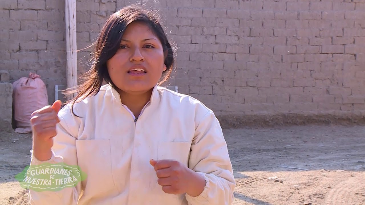 Día Nacional del Apicultor Peruano