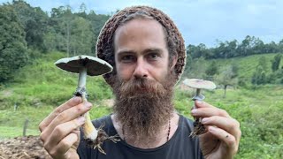 You can come to Thailand with me! 🐘💩🍄‍🟫 (legendary retreat)