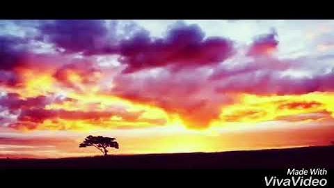 تلاوة رائع بصوت مجهول جميل