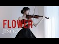 Jisoo  flower  violin cover