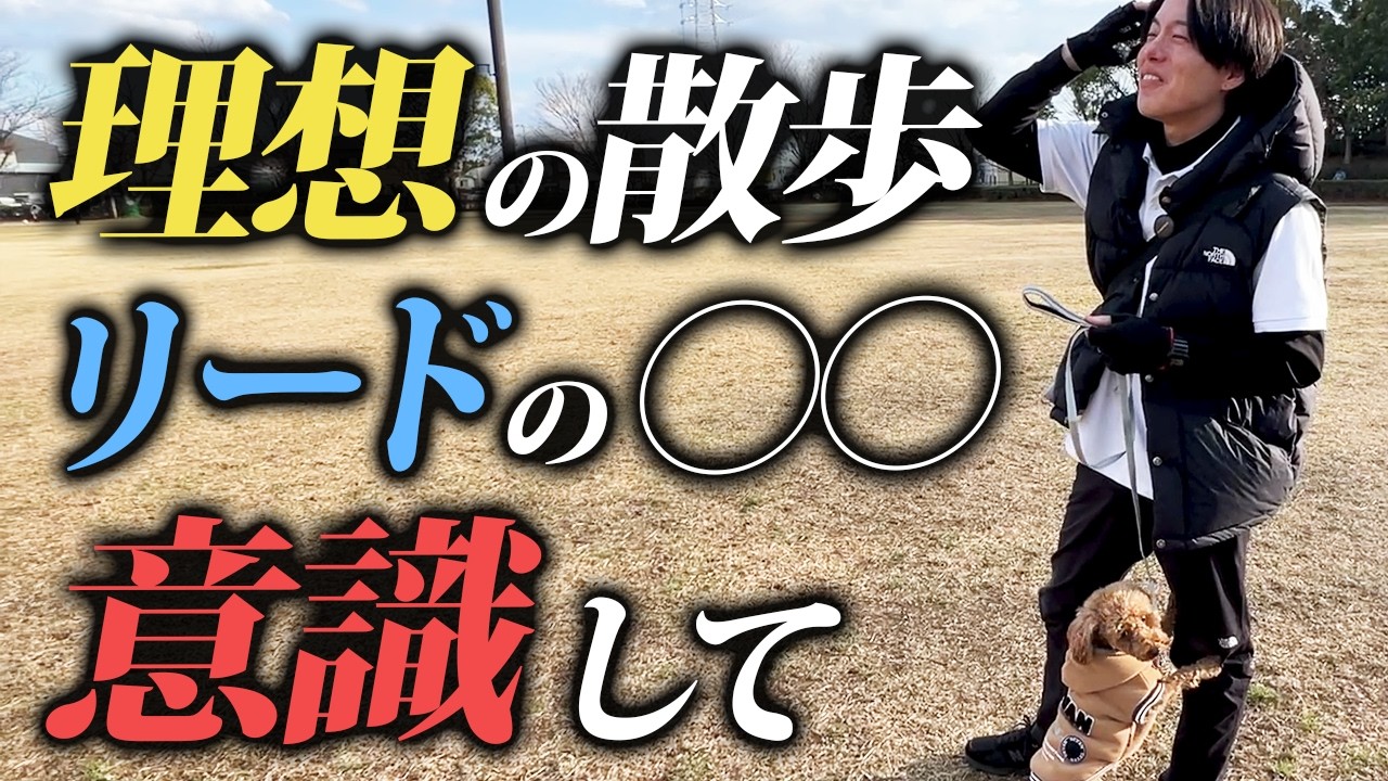 【実演】犬の散歩、