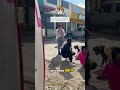 Por favor ayúdanos 🫶🏻💖