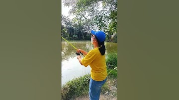 Review Cần Câu 2 Khúc Đặc Toro – Trải Nghiệm Test Cá Tra Thực Tế | Dã Ngoại Cùng Lan #shorts