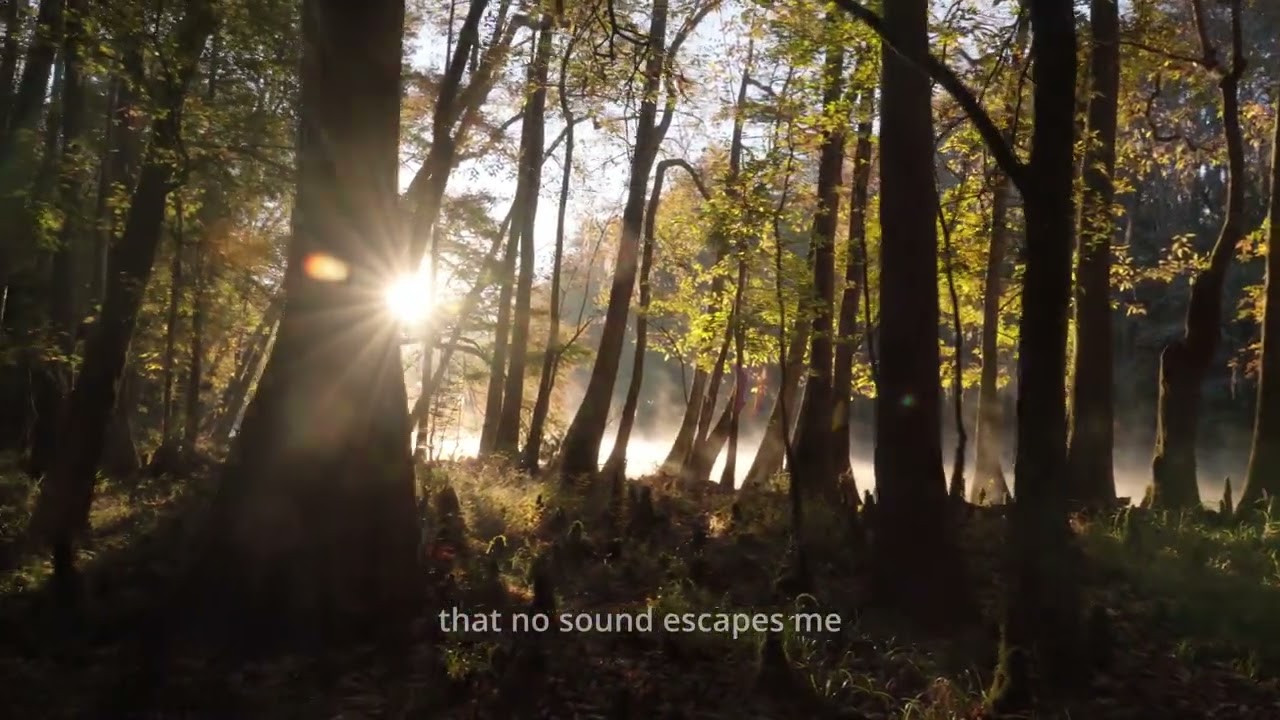 Jasce - Send (lyric video)