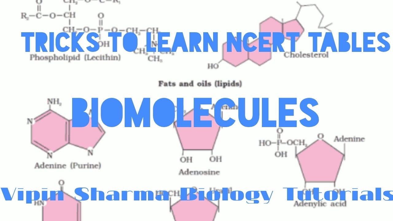 Tricks to learn NCERT tables 9.3 , 9.4 , and 9.5 ( BIOMOLECULES) for