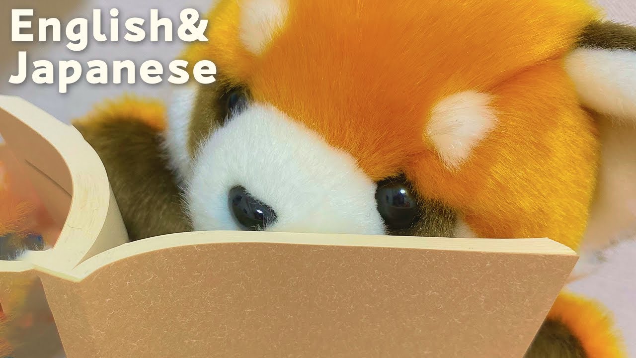 【ASMR】読み聞かせ📚😴 日本語&英語を交互に 注文の多い料理店