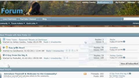How to add an Avatar Picture on a vBulletin Forum