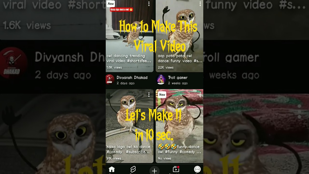 “🦉 Owl Dancing Video 😍🔥 | Learn How to Make It 🤔”