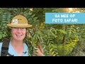 Foto Missie - Op Safari in je Eigen Buurt