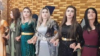 Hozan Tacettin - Hakari / Yüksekova / Şemdinli Düğnleri [© ]