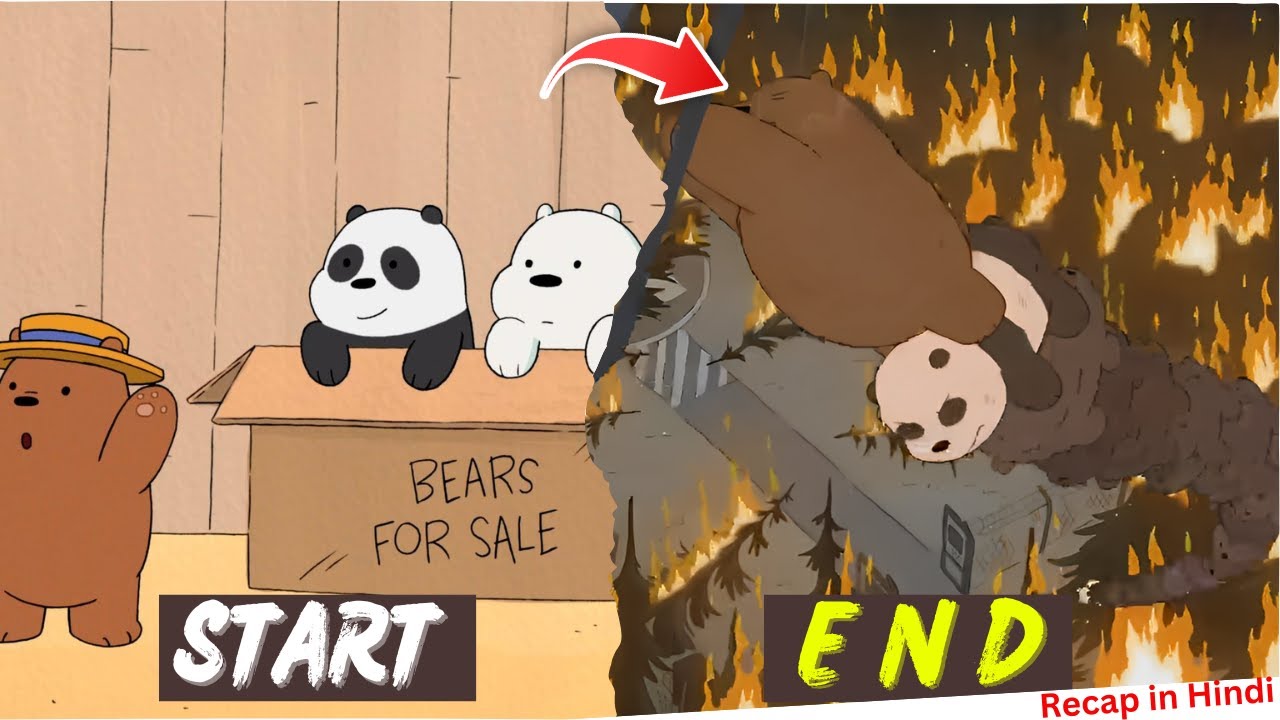 We Bare Bears in 12 Minutes from Beginning To End. (Full Recap)in Hindi.(Story of Grizzly,Panda,Ice)
