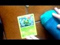 Lillebror viser pokemonkort