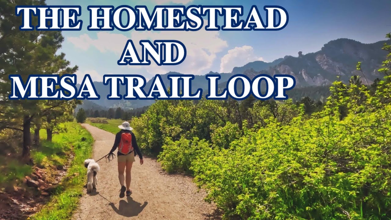 Stunning Day Hike Near Denver | The Homestead and Mesa Trail Loop - YouTube