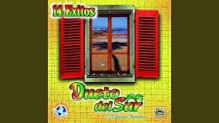 Video thumbnail of "Dueto del Sur - Soy Albañil"