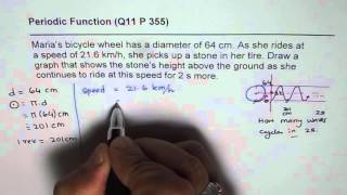 Q11 p 355 Periodic Height of Stone on Bicycle Tire A