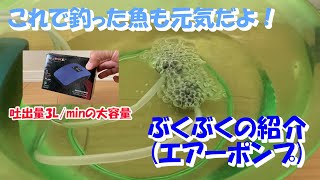 【第16話】ぶくぶく(エアーポンプ)の紹介