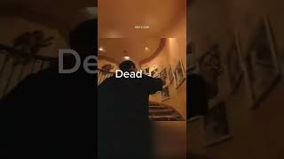Ozzy Osbourne shows photos of his deceased dogs