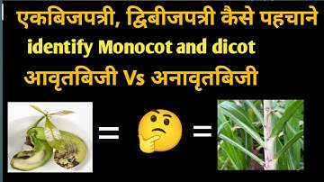 🤔कैसे पहचाने एकबीजपत्री और द्विबीजपत्री|Trick Monocot Dicot|आवृतबीजी और अनावृतबीजी|Angiosperm Gymno