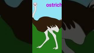 PIXEL OLD MACDONALD PET ANIMALS 2 PIXEL ZOO 1 PIXEL USA