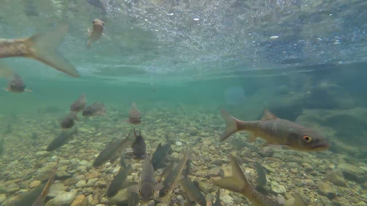 Khlong Phlu Waterfall, Koh Chang.🇹🇭