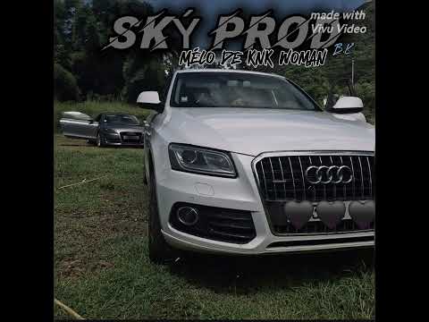 Lýven Skaý RMXREGGAE BOUSS CHAUD NSMTLG