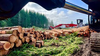 How To Bunch For A Shovel Tutorial - First Find A Beautiful Piece Of Oregon Timber Land Like This...