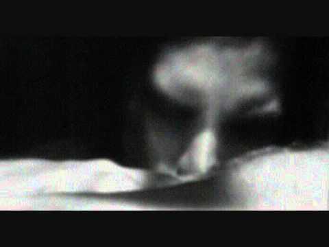 Psychophysicist — Psychophysicist - PSR .833-45 16.65 Mg Htz