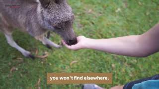 From the Opera House to the Stunning Outback & Beyond