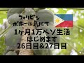 #15 フィリピン･ボホール島で1ヶ月1万ペソ生活：パパイヤリベンジ【二人暮らし】