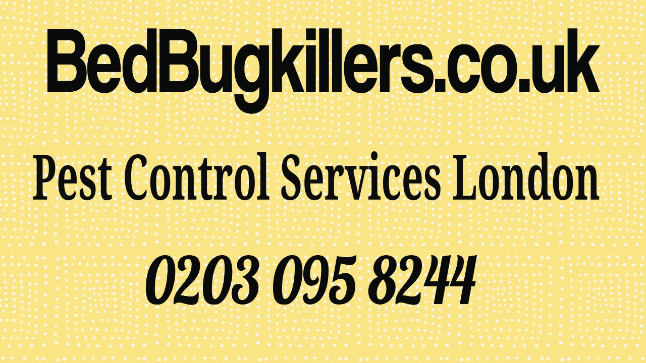 Pest Control Supplies Acton