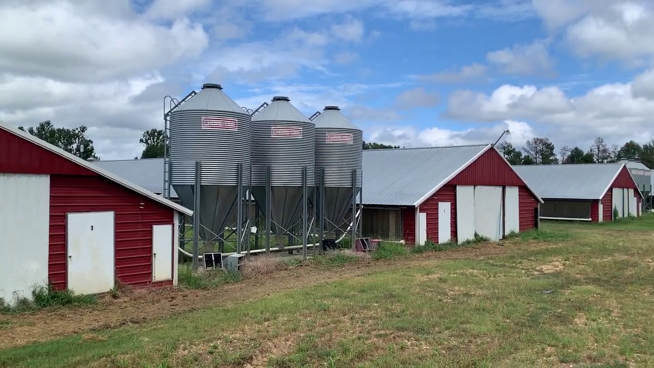 FOR SALE 7 House Broiler Farm in Leake County (Ludlow), MS YouTube
