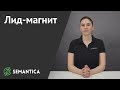 Лид магнит: что это и зачем он нужен | SEMANTICA