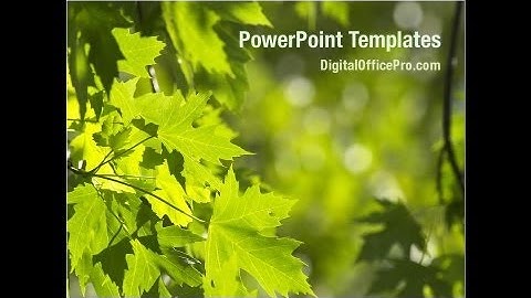 Maple PowerPoint Template Backgrounds - DigitalOfficePro #05314