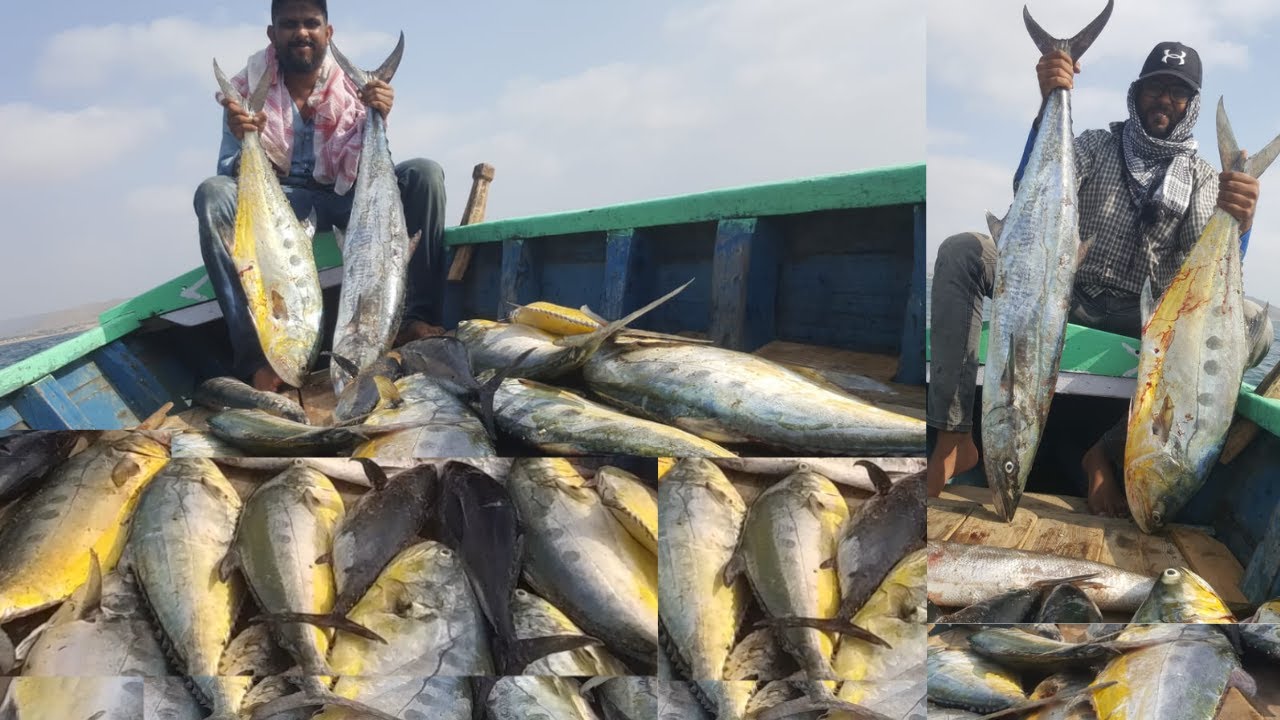 Queen Fish, Tuna, King Mac Fishing Fishing in Karachi 2022 Charna