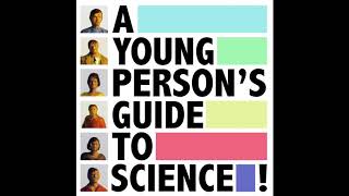 Stable Genius - Model No B3