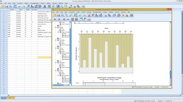SPSS - Cluster Analysis (hierarchical)