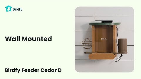 Wall Mounted - Birdfy Feeder Cedar D Tutorial
