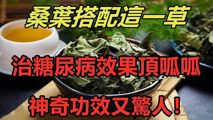 桑叶搭配这一草，抗疲劳和防治糖尿病效果顶呱呱，神奇功效又惊人！【养生之道】 - 天天要闻