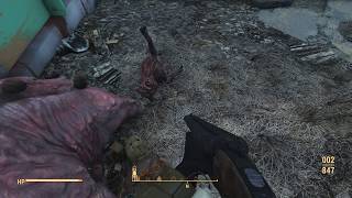 Fallout 4 - Aww, how nice. Hello to you too, zombie dog.