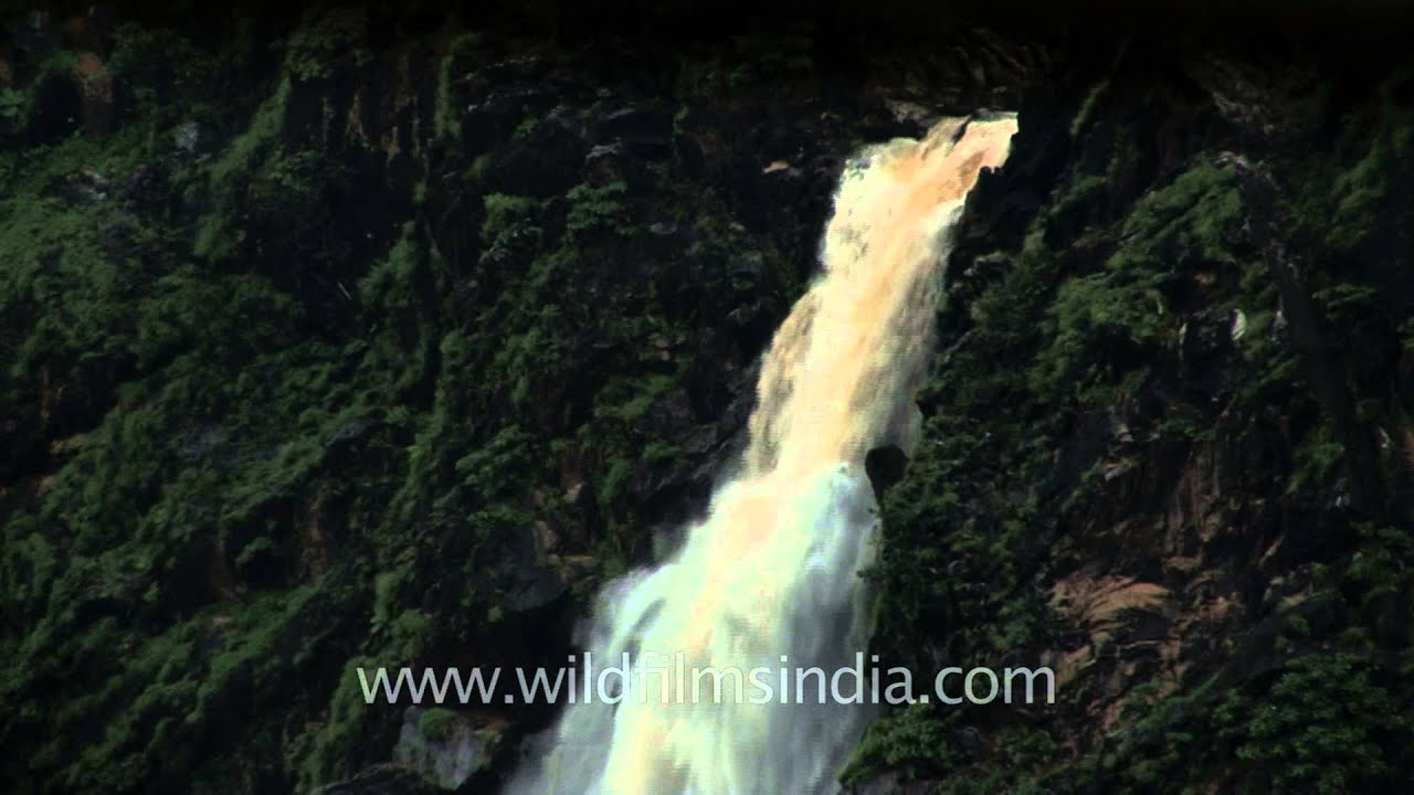 Series of water jets cascading down at Jog Falls