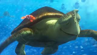 Download Lagu Turtle Guy Takes Dory, Marlin and Nemo Across the Ocean (Finding Dory Scene 10) MP3 Download Lagu Turtle Guy Takes Dory, Marlin and Nemo Across the Ocean (Finding Dory Scene 10) MP3