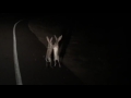 Duel of the Jack Rabbits