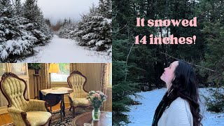 Week in the life of an innkeeper | Snowed in at the B&B