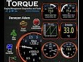 OBD II TORQUE ARABA HATA TEŞHİS EŞ ZAMANLI BİLGİ EDİNME PROGRAMI