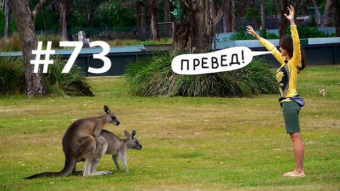 Әйелдердің өсіп кеткен писькилері