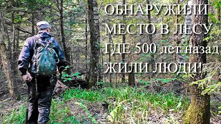 ВСКРЫЛИ ЛЕС, ГДЕ 500 ЛЕТ НАЗАД ЖИЛИ ЛЮДИ!