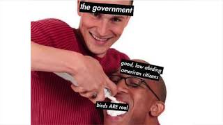 Meme Awards v238